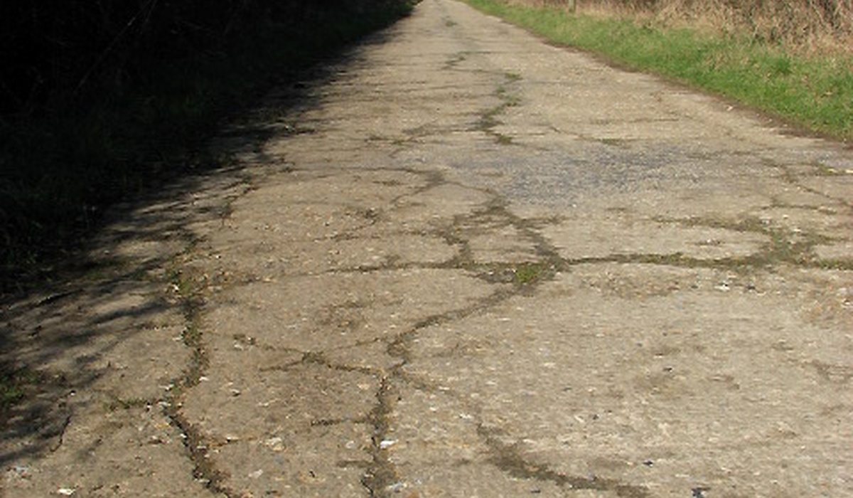 Cracks in a concrete slab, the route subterranean termites use into a Lancaster home